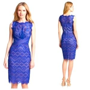 Dress Tadashi Shoji royal blue lace 10P
